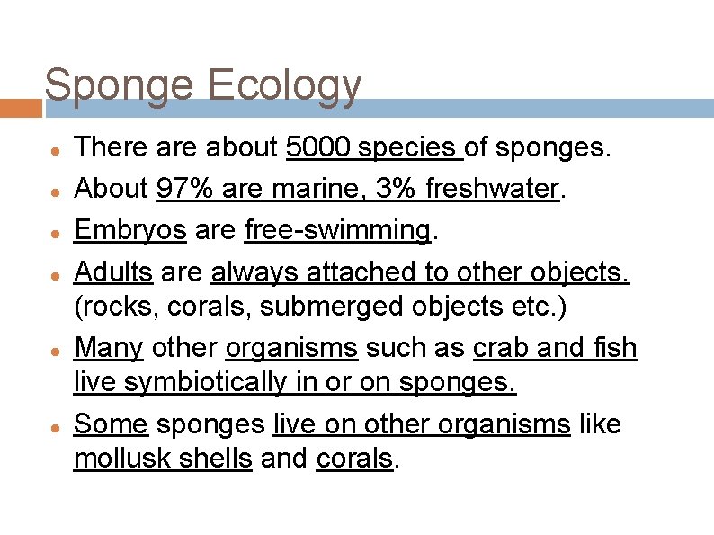 Sponge Ecology There about 5000 species of sponges. About 97% are marine, 3% freshwater.
