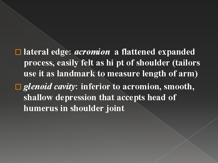 � lateral edge: acromion a flattened expanded process, easily felt as hi pt of