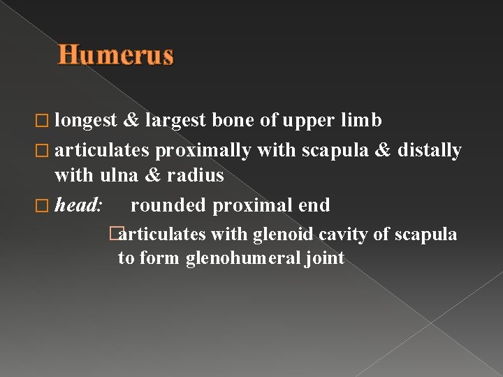 Humerus � longest & largest bone of upper limb � articulates proximally with scapula