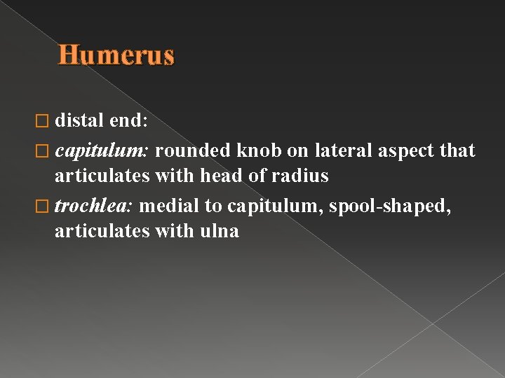 Humerus � distal end: � capitulum: rounded knob on lateral aspect that articulates with