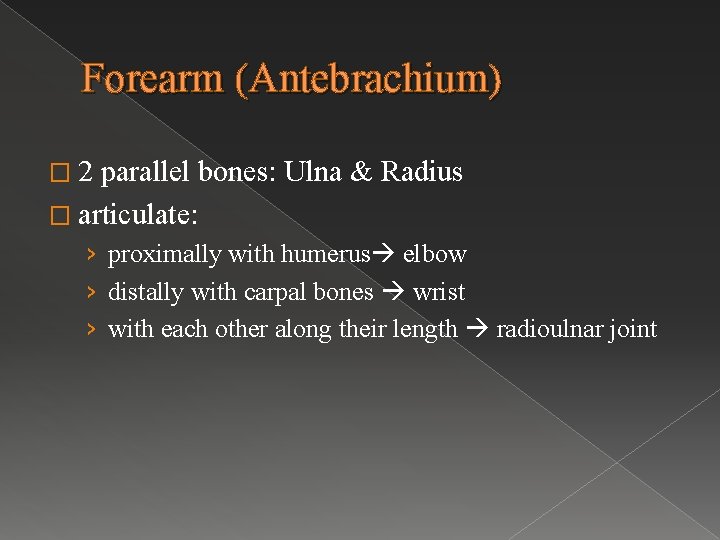 Forearm (Antebrachium) � 2 parallel bones: Ulna & Radius � articulate: › proximally with