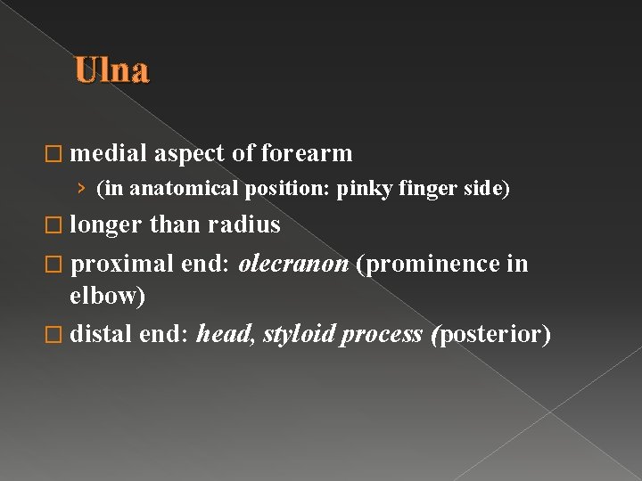 Ulna � medial aspect of forearm › (in anatomical position: pinky finger side) �