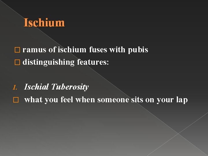 Ischium � ramus of ischium fuses with pubis � distinguishing features: Ischial Tuberosity �