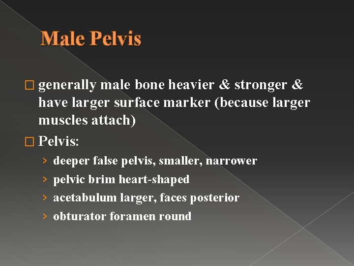 Male Pelvis � generally male bone heavier & stronger & have larger surface marker
