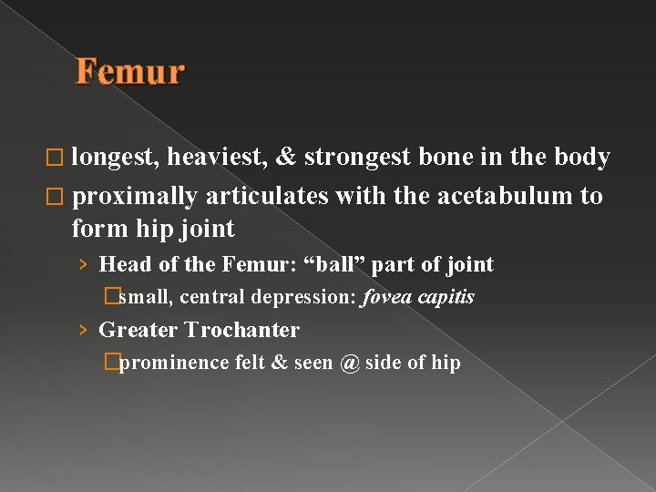 Femur � longest, heaviest, & strongest bone in the body � proximally articulates with