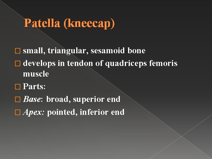 Patella (kneecap) � small, triangular, sesamoid bone � develops in tendon of quadriceps femoris