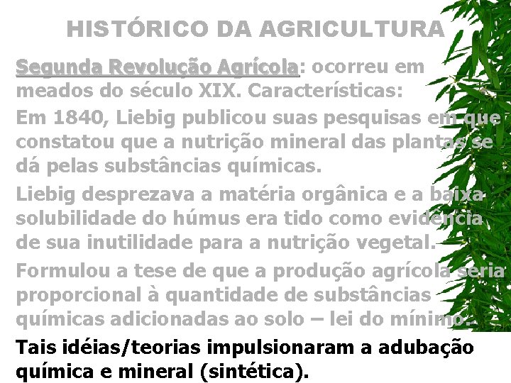 HISTÓRICO DA AGRICULTURA Segunda Revolução Agrícola: Agrícola ocorreu em meados do século XIX. Características: