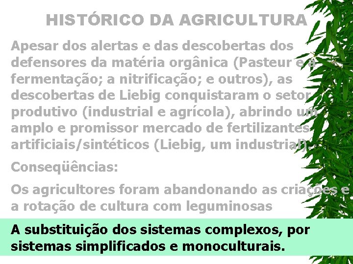 HISTÓRICO DA AGRICULTURA Apesar dos alertas e das descobertas dos defensores da matéria orgânica