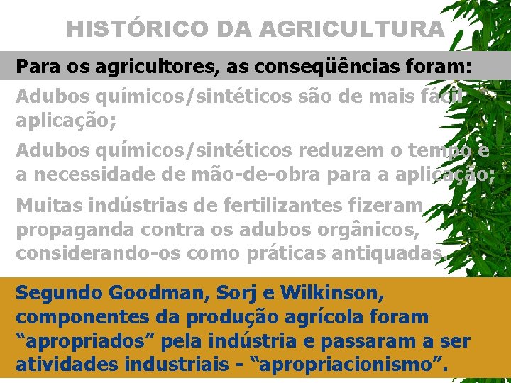 HISTÓRICO DA AGRICULTURA Para os agricultores, as conseqüências foram: Adubos químicos/sintéticos são de mais