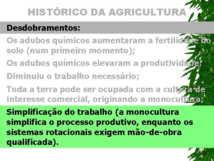 HISTÓRICO DA AGRICULTURA Desdobramentos: Os adubos químicos aumentaram a fertilidade do solo (num primeiro