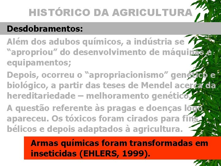 HISTÓRICO DA AGRICULTURA Desdobramentos: Além dos adubos químicos, a indústria se “apropriou” do desenvolvimento