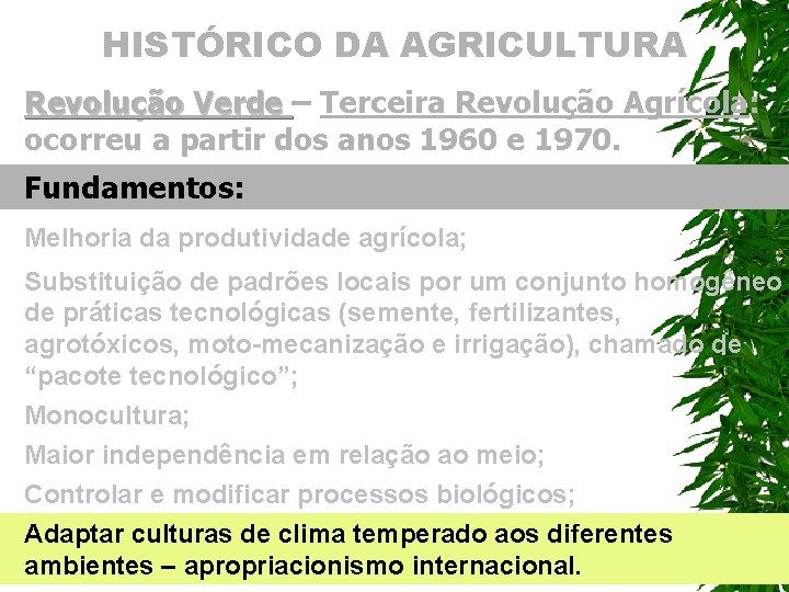 HISTÓRICO DA AGRICULTURA Revolução Verde – Terceira Revolução Agrícola: ocorreu a partir dos anos