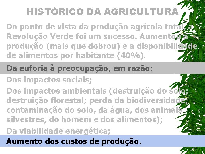 HISTÓRICO DA AGRICULTURA Do ponto de vista da produção agrícola total, a Revolução Verde