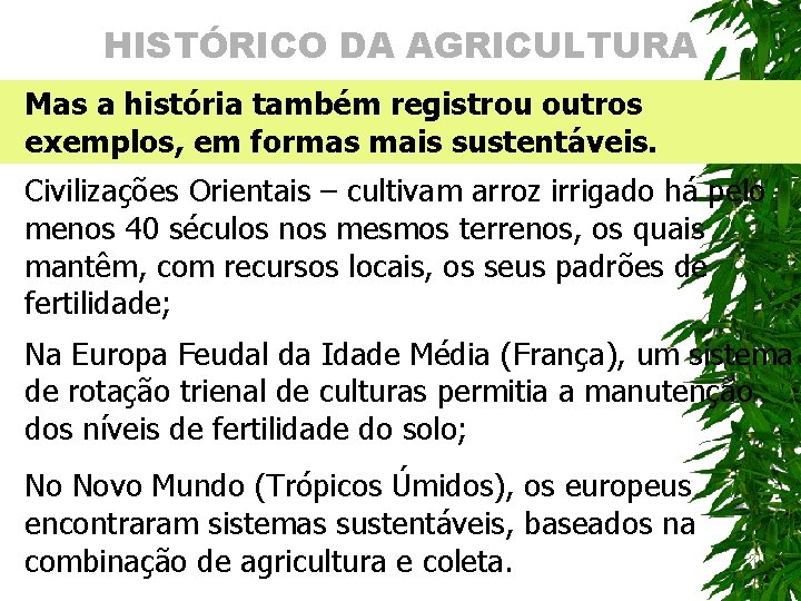 HISTÓRICO DA AGRICULTURA Mas a história também registrou outros exemplos, em formas mais sustentáveis.