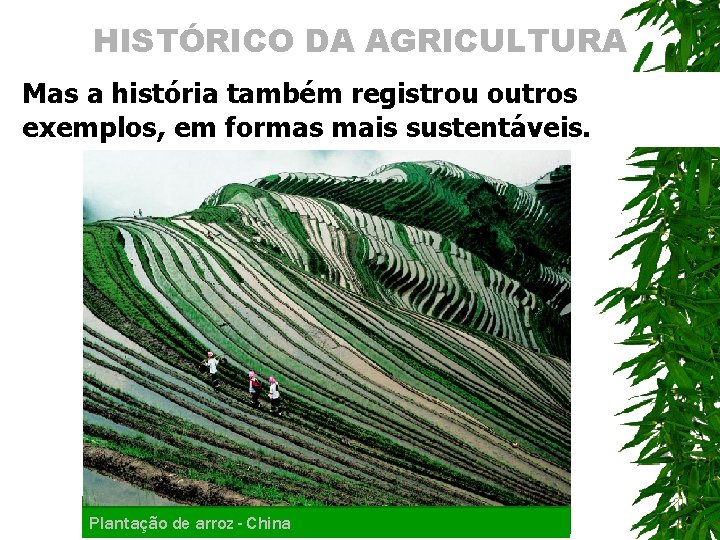 HISTÓRICO DA AGRICULTURA Mas a história também registrou outros exemplos, em formas mais sustentáveis.