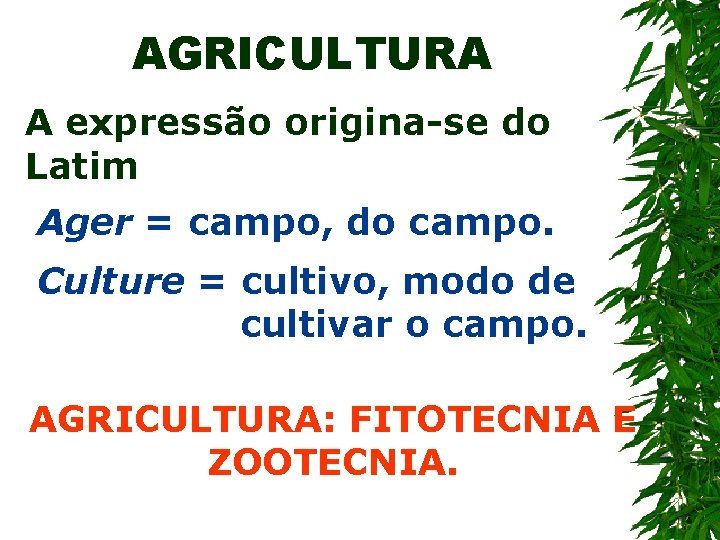 AGRICULTURA A expressão origina-se do Latim Ager = campo, do campo. Culture = cultivo,