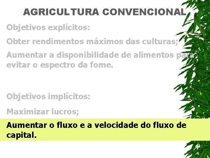 AGRICULTURA CONVENCIONAL Objetivos explícitos: Obter rendimentos máximos das culturas; Aumentar a disponibilidade de alimentos