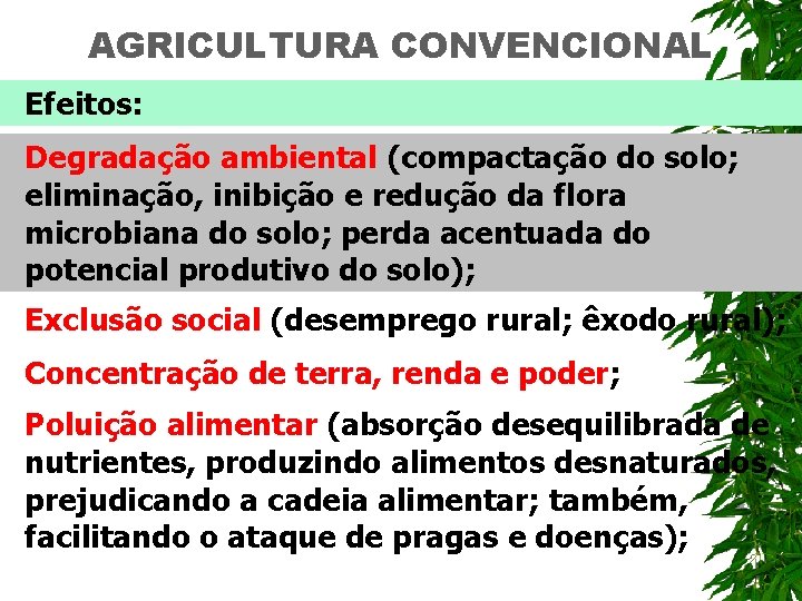 AGRICULTURA CONVENCIONAL Efeitos: Degradação ambiental (compactação do solo; eliminação, inibição e redução da flora