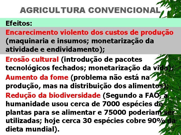 AGRICULTURA CONVENCIONAL Efeitos: Encarecimento violento dos custos de produção (maquinaria e insumos; monetarização da