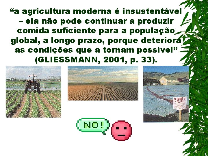 “a agricultura moderna é insustentável – ela não pode continuar a produzir comida suficiente