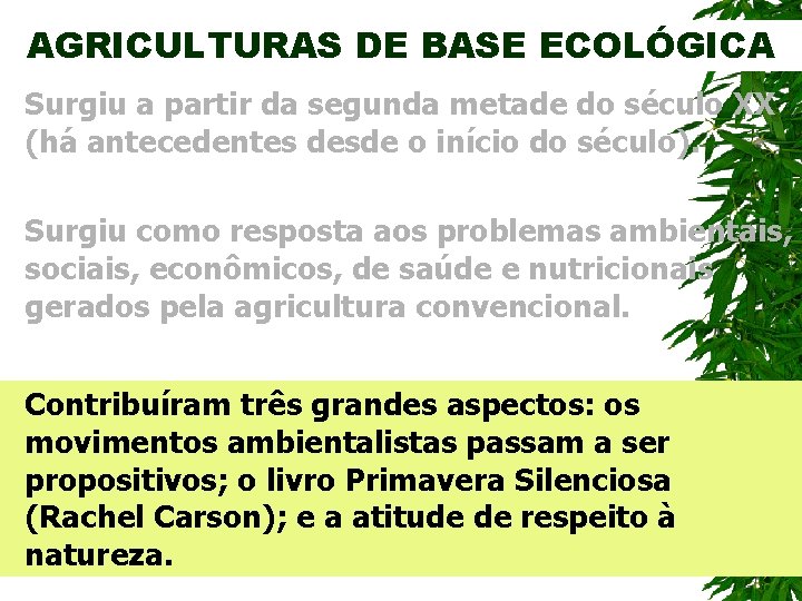 AGRICULTURAS DE BASE ECOLÓGICA Surgiu a partir da segunda metade do século XX (há