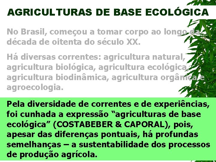 AGRICULTURAS DE BASE ECOLÓGICA No Brasil, começou a tomar corpo ao longo da década