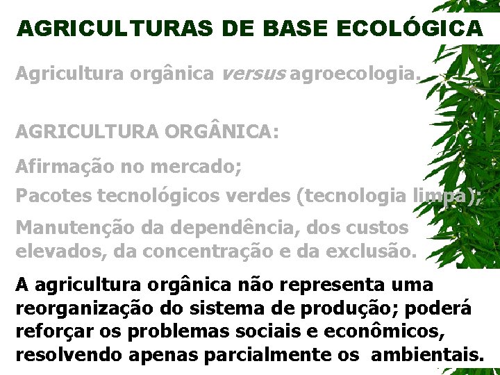 AGRICULTURAS DE BASE ECOLÓGICA Agricultura orgânica versus agroecologia. AGRICULTURA ORG NICA: Afirmação no mercado;