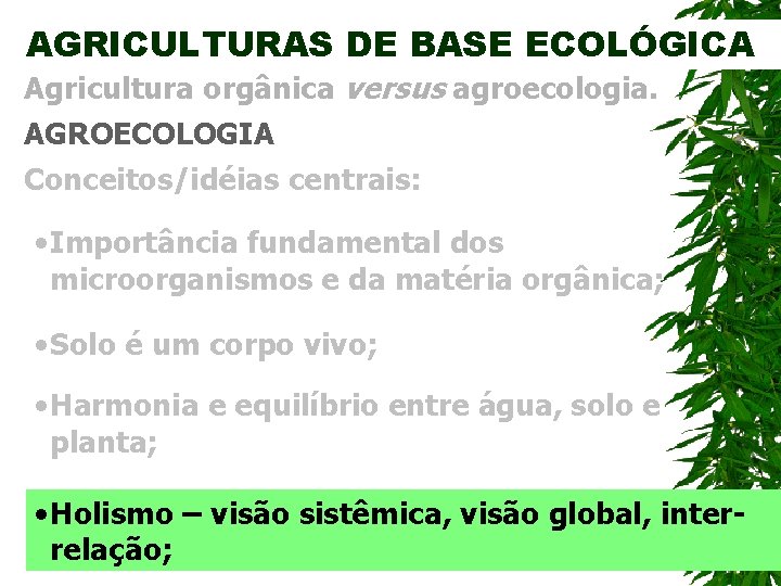 AGRICULTURAS DE BASE ECOLÓGICA Agricultura orgânica versus agroecologia. AGROECOLOGIA Conceitos/idéias centrais: • Importância fundamental