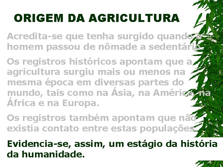 ORIGEM DA AGRICULTURA Acredita-se que tenha surgido quando o homem passou de nômade a