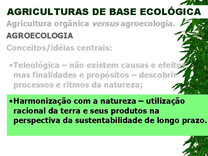 AGRICULTURAS DE BASE ECOLÓGICA Agricultura orgânica versus agroecologia. AGROECOLOGIA Conceitos/idéias centrais: • Teleológica –