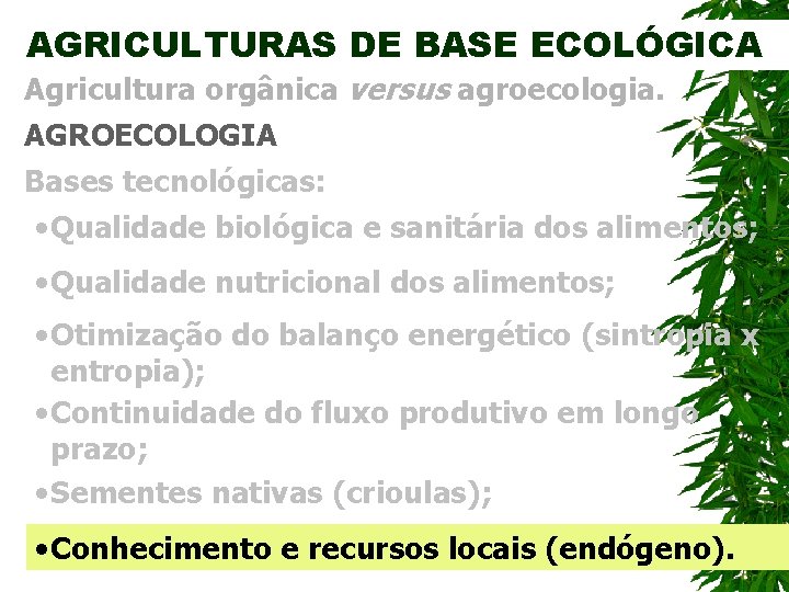 AGRICULTURAS DE BASE ECOLÓGICA Agricultura orgânica versus agroecologia. AGROECOLOGIA Bases tecnológicas: • Qualidade biológica