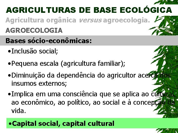 AGRICULTURAS DE BASE ECOLÓGICA Agricultura orgânica versus agroecologia. AGROECOLOGIA Bases sócio-econômicas: • Inclusão social;