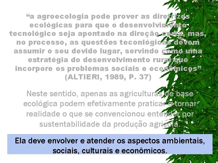 “a agroecologia pode prover as diretrizes ecológicas para que o desenvolvimento tecnológico seja apontado