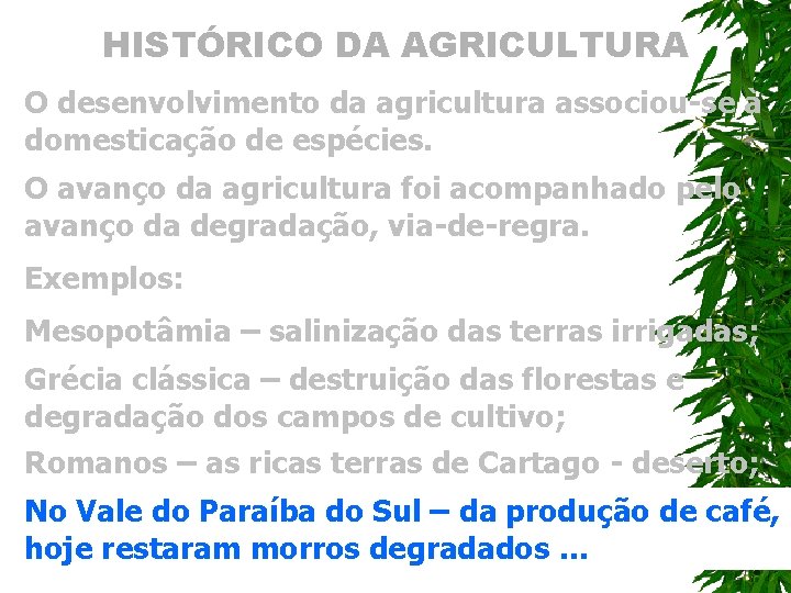 HISTÓRICO DA AGRICULTURA O desenvolvimento da agricultura associou-se à domesticação de espécies. O avanço