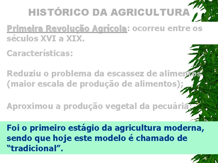 HISTÓRICO DA AGRICULTURA Primeira Revolução Agrícola: Agrícola ocorreu entre os séculos XVI a XIX.