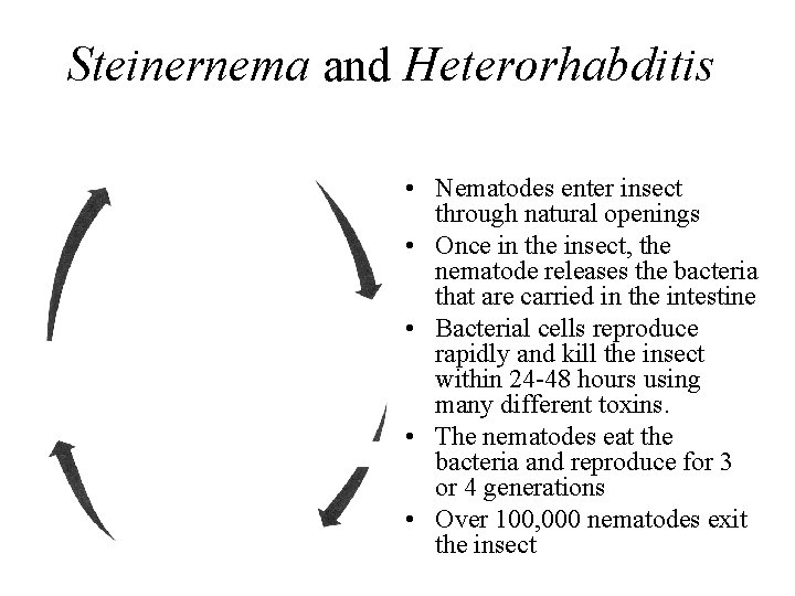 Steinernema and Heterorhabditis • Nematodes enter insect through natural openings • Once in the