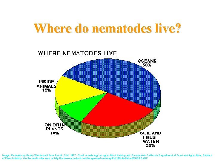 Where do nematodes live? Image: Redrawn by Becky Westerdahl from Ayoub, S. M. 1977.