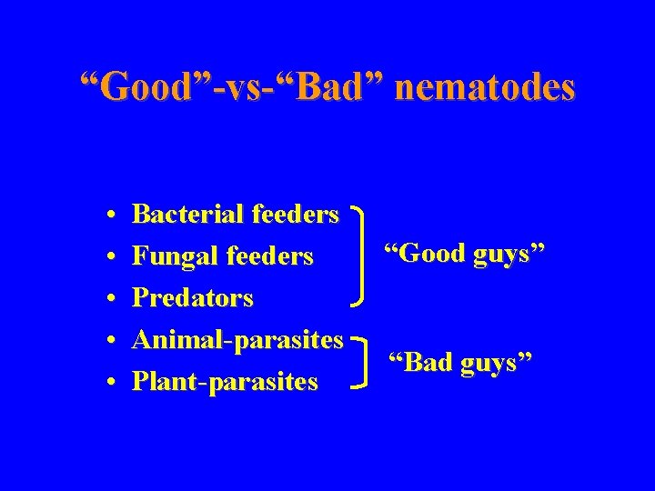 “Good”-vs-“Bad” nematodes • • • Bacterial feeders Fungal feeders Predators Animal-parasites Plant-parasites “Good guys”