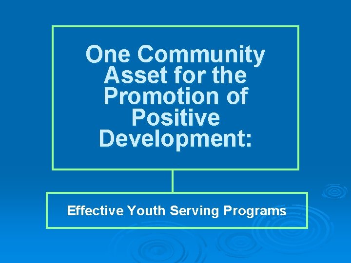 One Community Asset for the Promotion of Positive Development: Effective Youth Serving Programs 