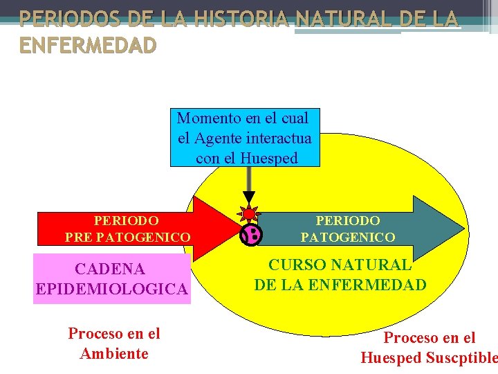 PERIODOS DE LA HISTORIA NATURAL DE LA ENFERMEDAD Momento en el cual el Agente PERIODOS DE LA HISTORIA NATURAL DE LA ENFERMEDAD Momento en el cual el Agente