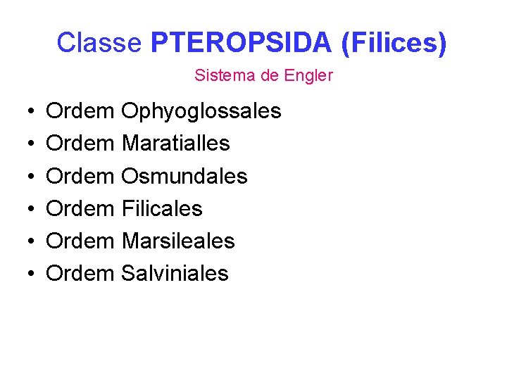 Classe PTEROPSIDA (Filices) Sistema de Engler • • • Ordem Ophyoglossales Ordem Maratialles Ordem