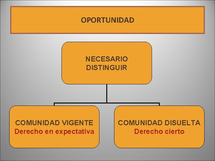 OPORTUNIDAD NECESARIO DISTINGUIR COMUNIDAD VIGENTE Derecho en expectativa COMUNIDAD DISUELTA Derecho cierto OPORTUNIDAD NECESARIO DISTINGUIR COMUNIDAD VIGENTE Derecho en expectativa COMUNIDAD DISUELTA Derecho cierto