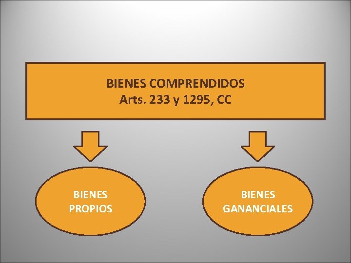 BIENES COMPRENDIDOS Arts. 233 y 1295, CC BIENES PROPIOS BIENES GANANCIALES BIENES COMPRENDIDOS Arts. 233 y 1295, CC BIENES PROPIOS BIENES GANANCIALES