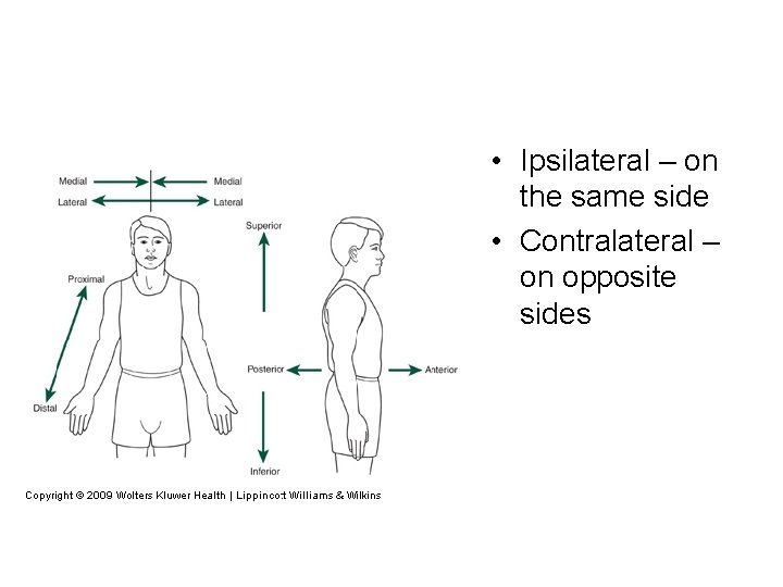  • Ipsilateral – on the same side • Contralateral – on opposite sides