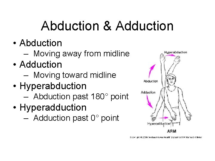 Abduction & Adduction • Abduction – Moving away from midline • Adduction – Moving