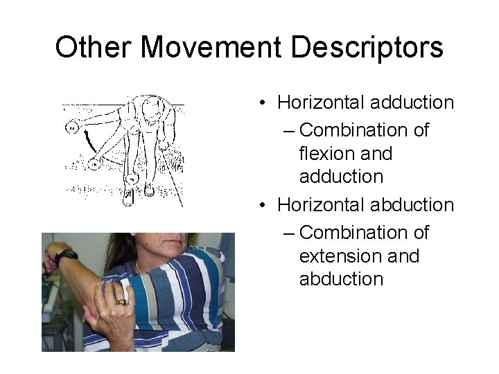 Other Movement Descriptors • Horizontal adduction – Combination of flexion and adduction • Horizontal