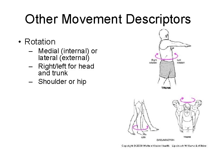 Other Movement Descriptors • Rotation – Medial (internal) or lateral (external) – Right/left for