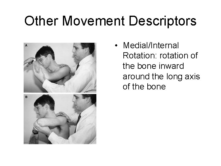 Other Movement Descriptors • Medial/Internal Rotation: rotation of the bone inward around the long