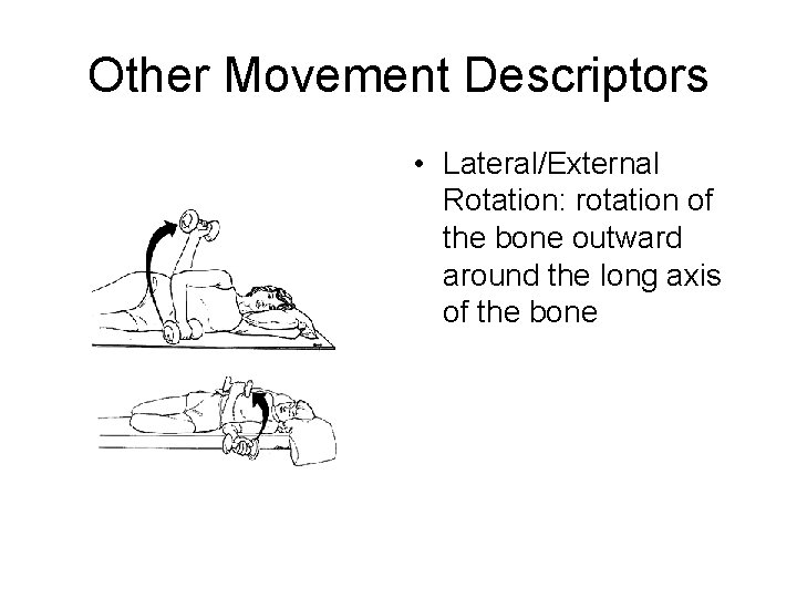 Other Movement Descriptors • Lateral/External Rotation: rotation of the bone outward around the long