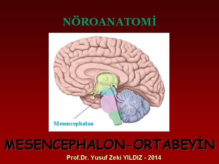 NÖROANATOMİ Mesencephalon MESENCEPHALON-ORTABEYİN Prof. Dr. Yusuf Zeki YILDIZ - 2014 